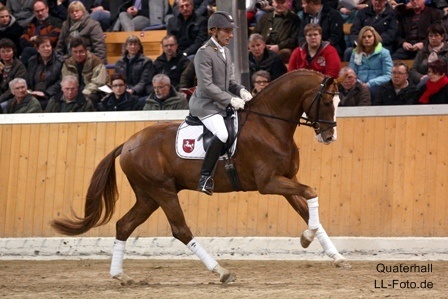 Quaterhall (Foto: LL-Foto)