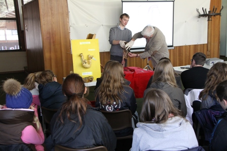 Dr. Ende erkl&auml;rt die Geb&auml;rmutter