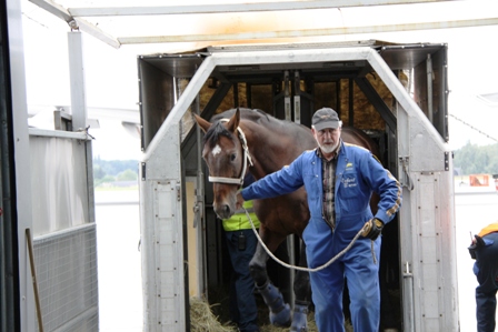 Santino landete zusammen mit den anderen sechs Hengsten sicher am Flughafen in Lüttich