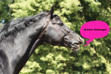 Sch&ouml;ne Ostertage